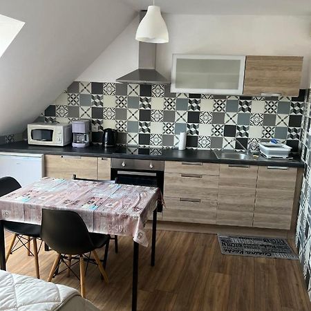 Super Appartement Colmar Centre Buitenkant foto
