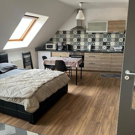Super Appartement Colmar Centre Buitenkant foto