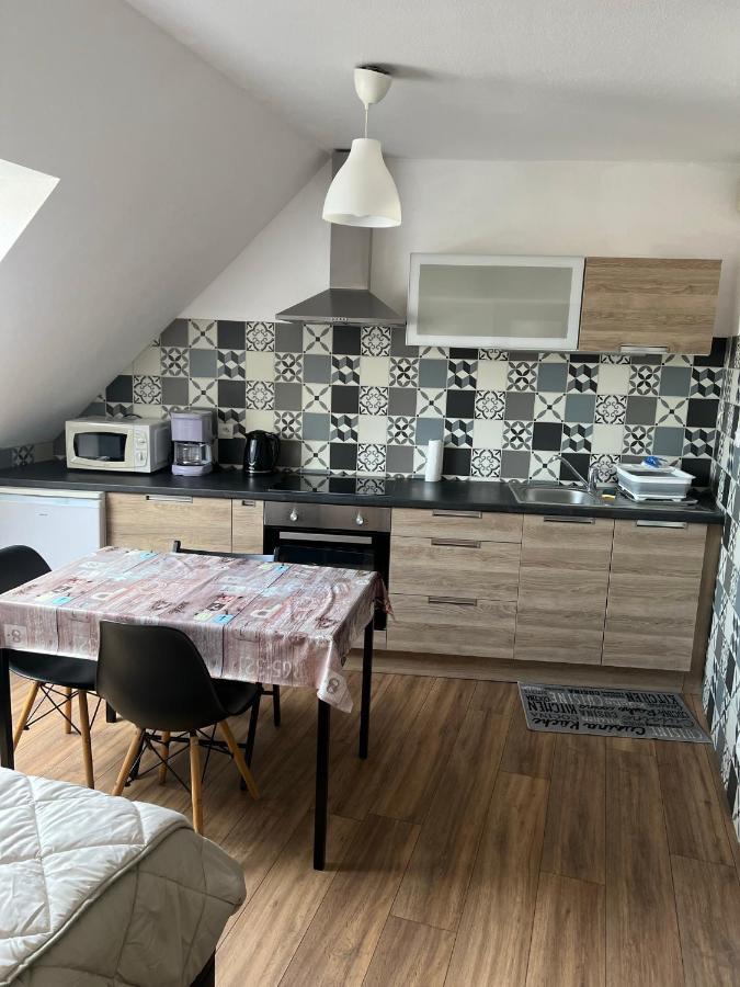 Super Appartement Colmar Centre Buitenkant foto