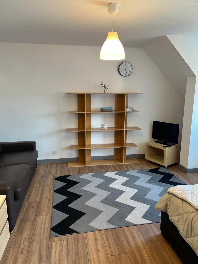 Super Appartement Colmar Centre Buitenkant foto