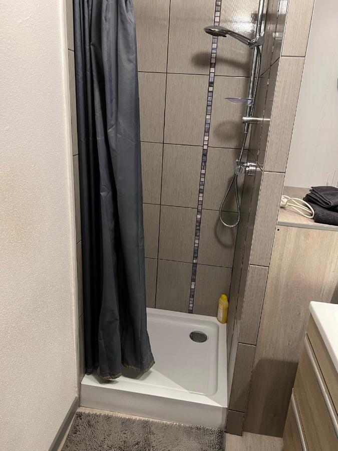Super Appartement Colmar Centre Buitenkant foto