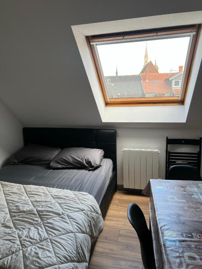 Super Appartement Colmar Centre Buitenkant foto