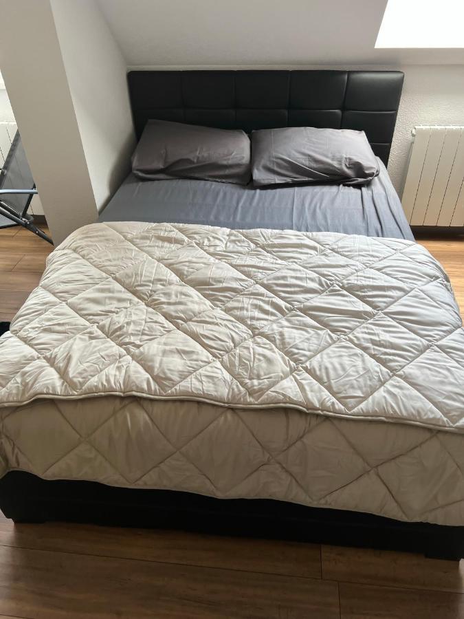 Super Appartement Colmar Centre Buitenkant foto